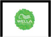 Wella est la marque de produits capillaires la plus connue du groupe Procter & Gamble. Celle-ci a souhait regrouper ses mesures en faveur de l\