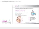 logotype et web design pour une socit de consulting. Livraison avec 3 jours d\