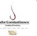 Tudor Constantinescu est le président du jury de Top Chef en Roumanie (émission TV). J'ai été en charge de la création du logo, du la baseline, et du site Internet avec Joomla.