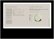 Rapport annuel 2009 - Prix Price Waterhouse Coopers (PWC)