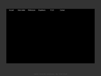 charte graphique, logo, web, animations flash.